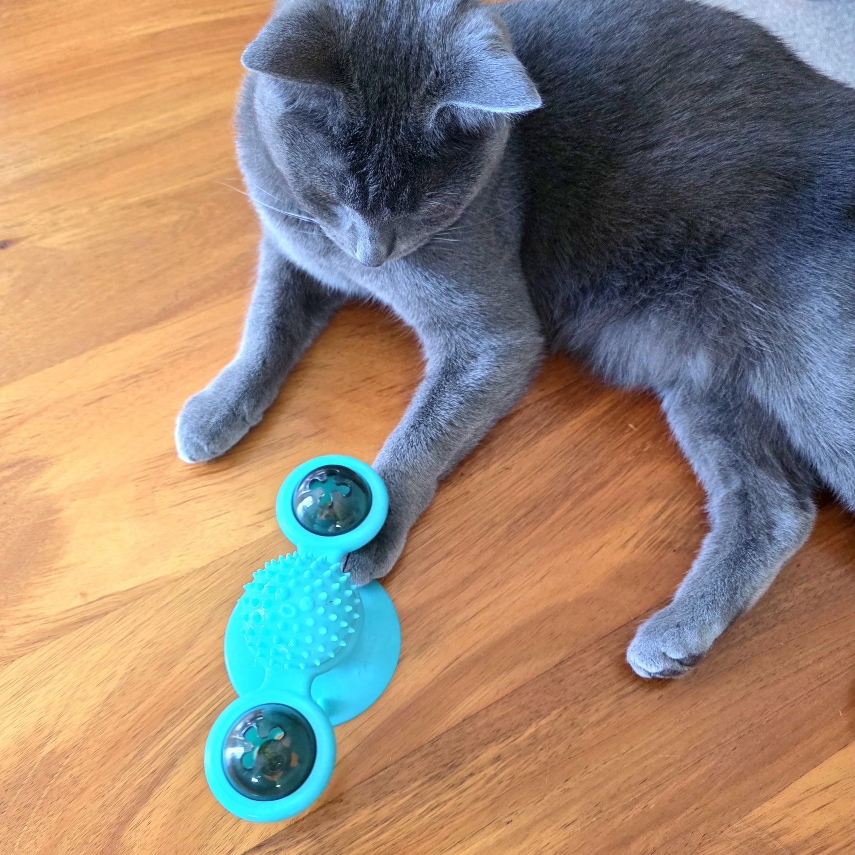 Windmill Interactive Cat Toy