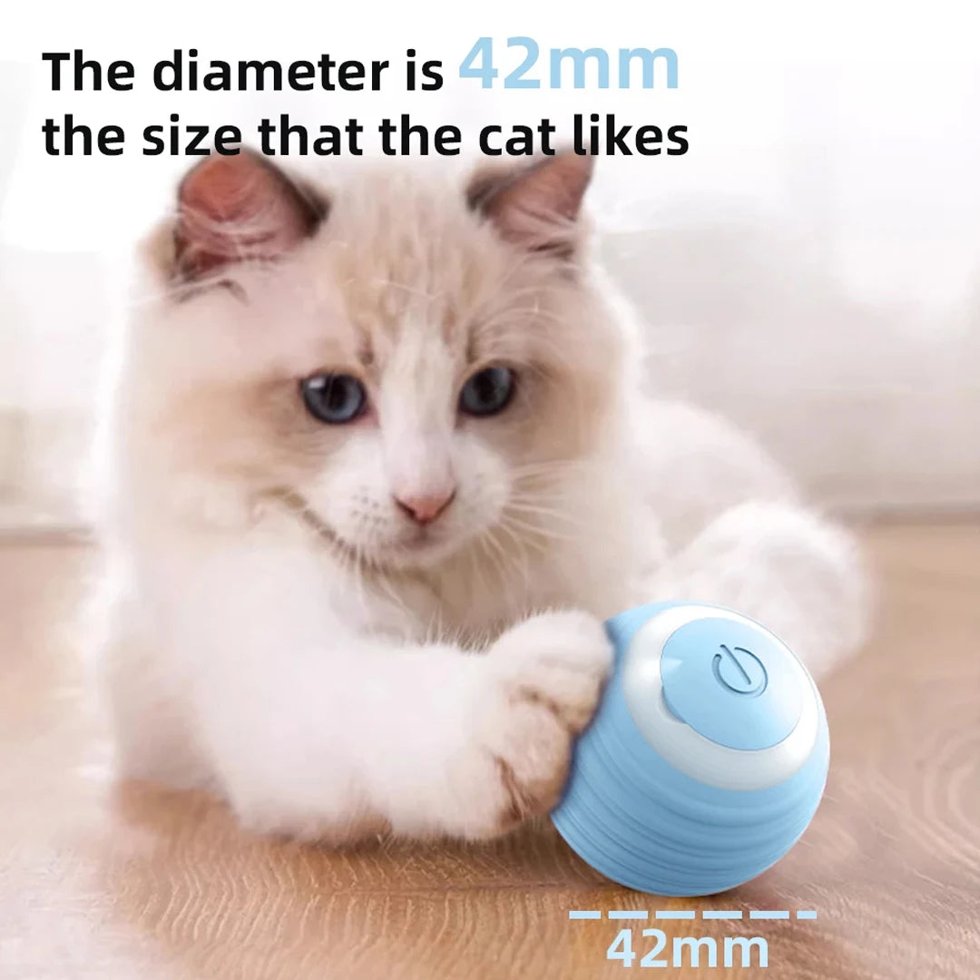 Smart Interactive Magic Ball for Cats