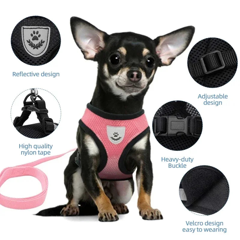 Harnais et laisse pour animaux de compagnie pour chats et chiens. 