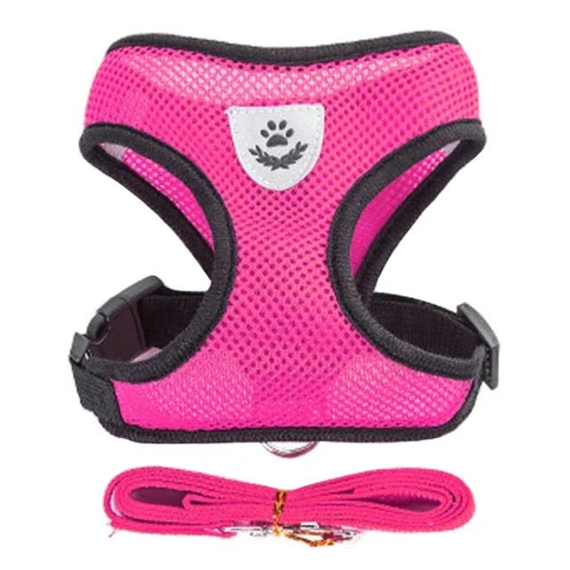Harnais et laisse pour animaux de compagnie pour chats et chiens. 