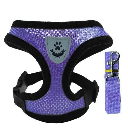 Harnais et laisse pour animaux de compagnie pour chats et chiens. 