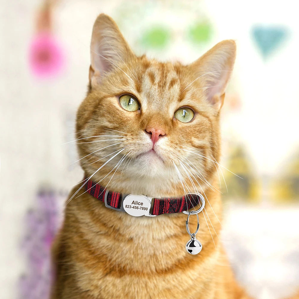 Collier pour chat réglable imprimé personnalisé 