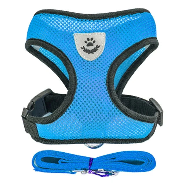 Harnais et laisse pour animaux de compagnie pour chats et chiens. 