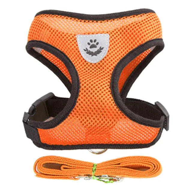 Harnais et laisse pour animaux de compagnie pour chats et chiens. 