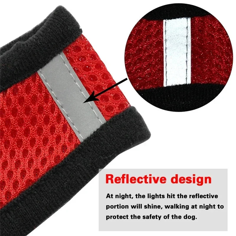 Harnais et laisse pour animaux de compagnie pour chats et chiens. 