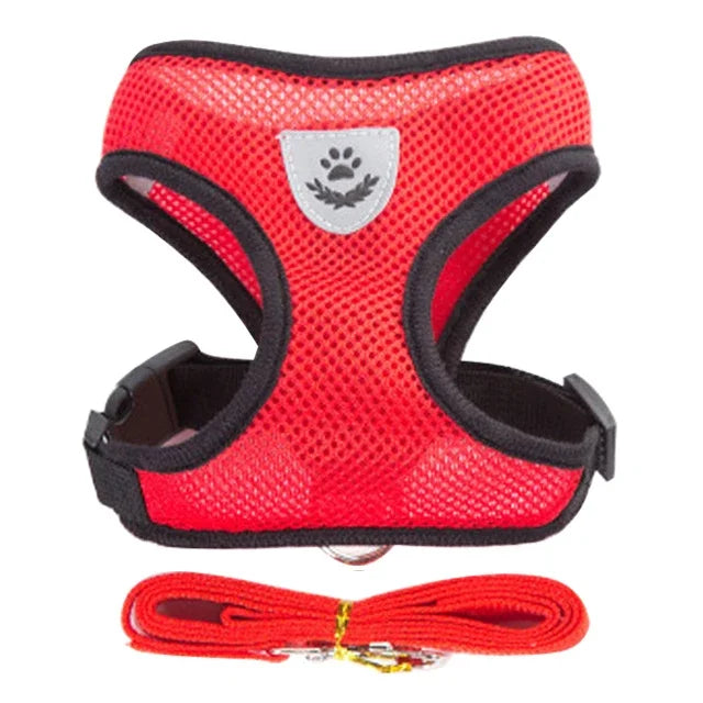 Harnais et laisse pour animaux de compagnie pour chats et chiens. 