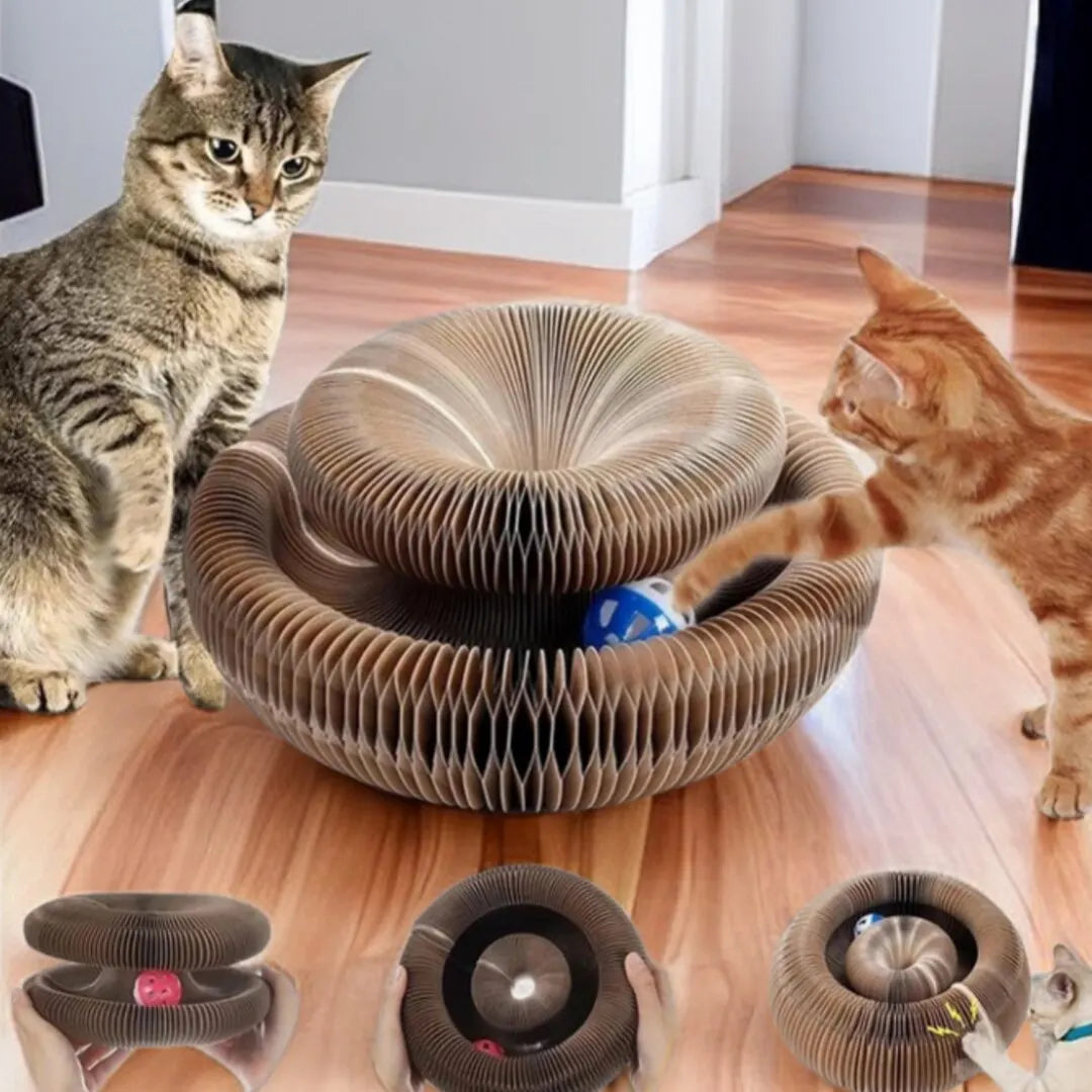 Arbre à chat modulaire avec balle intégrée 