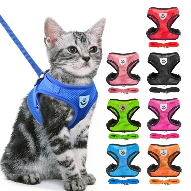 Harnais et laisse pour animaux de compagnie pour chats et chiens. 