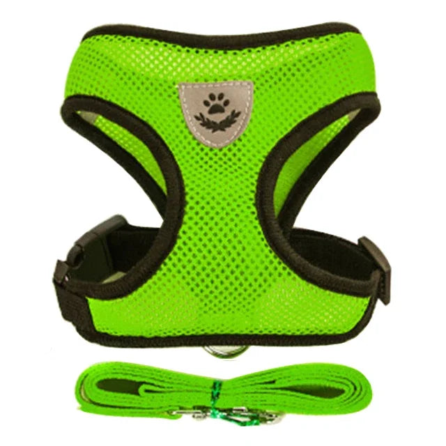 Harnais et laisse pour animaux de compagnie pour chats et chiens. 