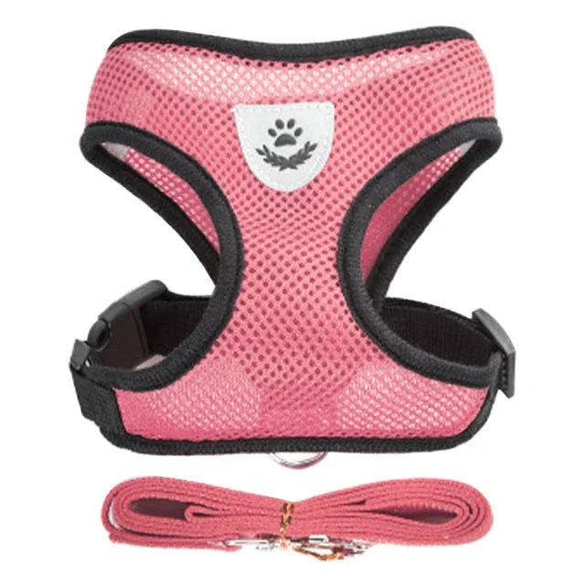 Harnais et laisse pour animaux de compagnie pour chats et chiens. 