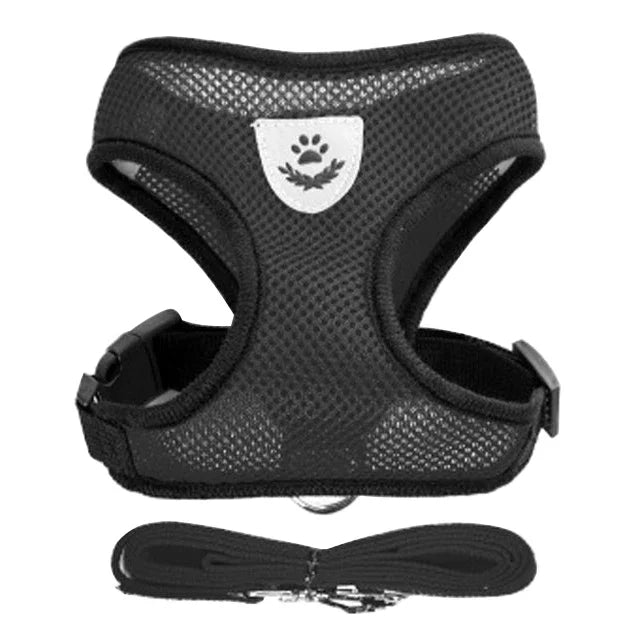 Harnais et laisse pour animaux de compagnie pour chats et chiens. 