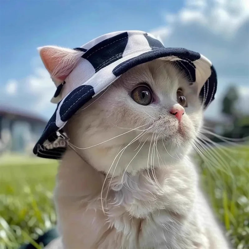 Cat  Hat  Adjustable