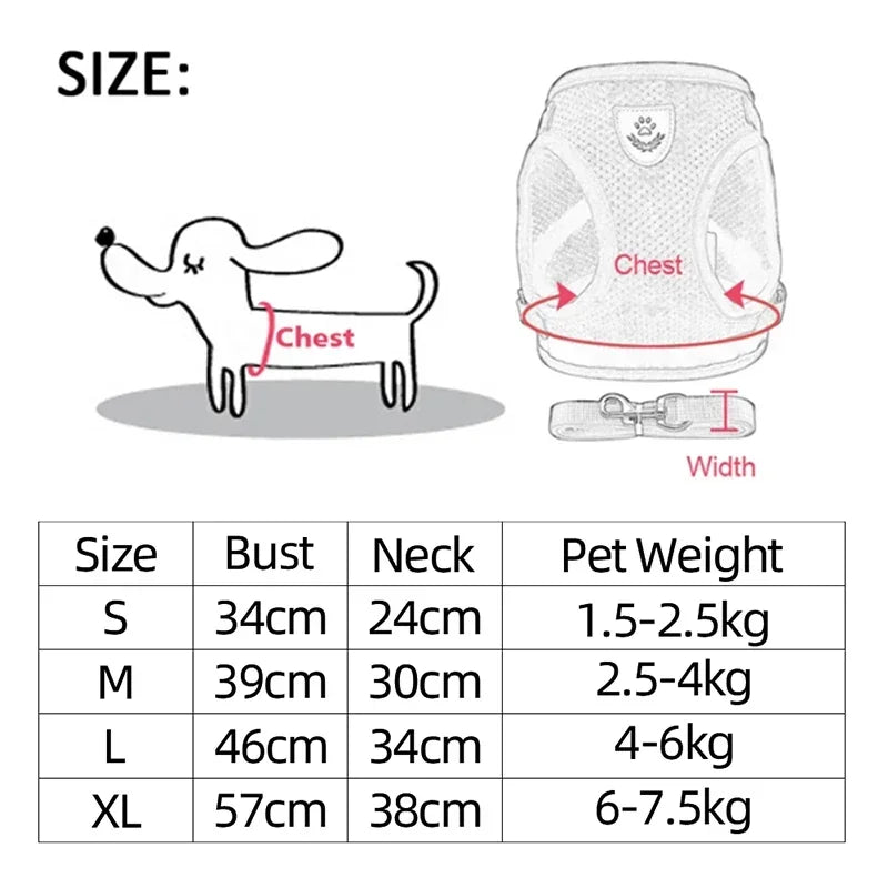 Harnais et laisse pour animaux de compagnie pour chats et chiens. 